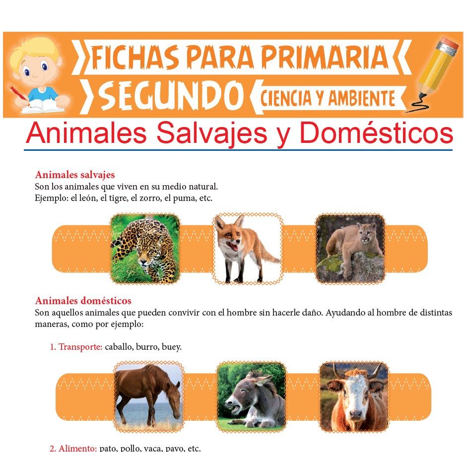 Ficha de Animales Salvajes y Domésticos para Segundo de Primaria