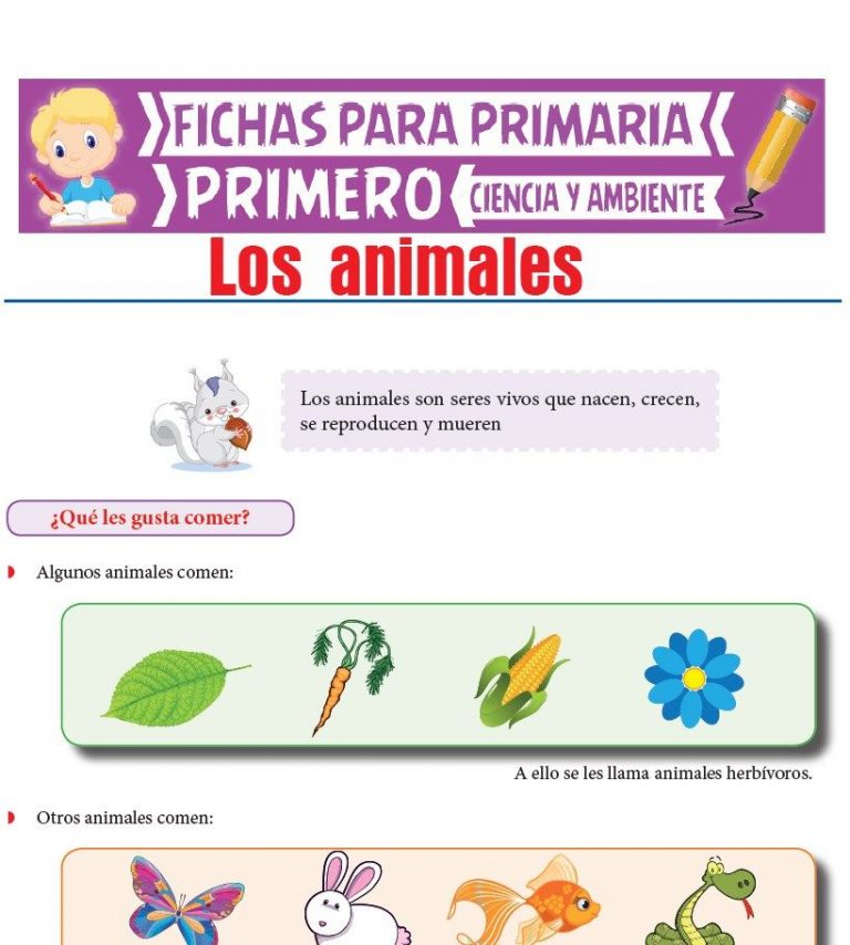 Fichas de Ciencia y Ambiente para Primer Grado de Primaria