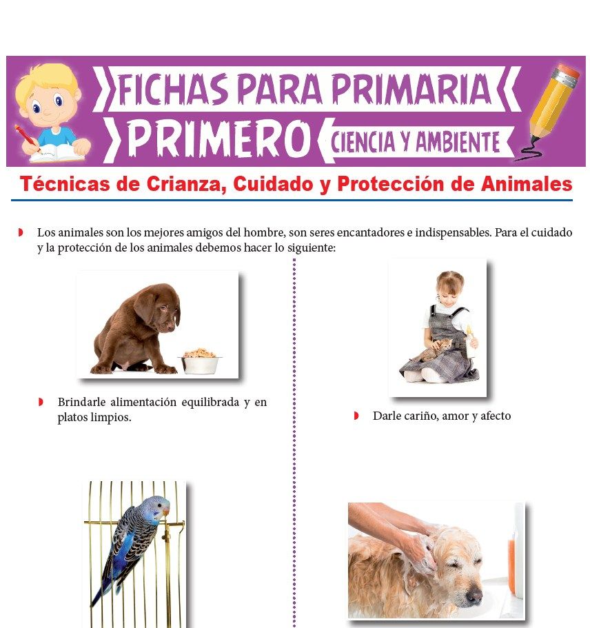 Ficha de Técnicas de crianza, cuidado y protección de animales para Primero de Primaria