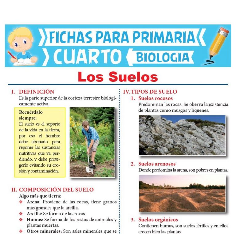 Los Suelos para Cuarto de Primaria | Actividades Educativas – 2022
