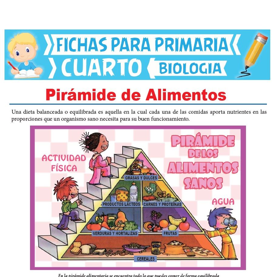 Ficha de Pirámide de Alimentos para Cuarto Grado de Primaria