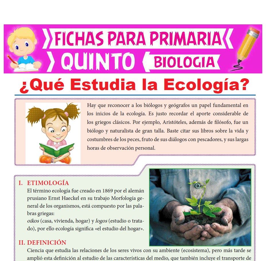 Ficha de Qué Estudia la Ecología para Quinto Grado de Primaria