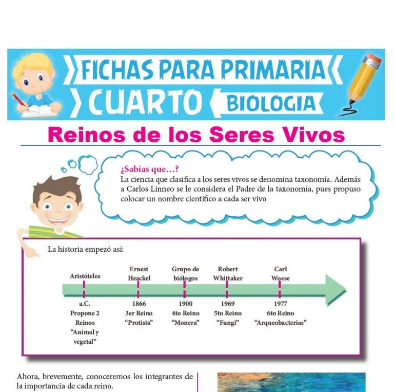 Fichas De Biologa Para Cuarto Grado De Primaria