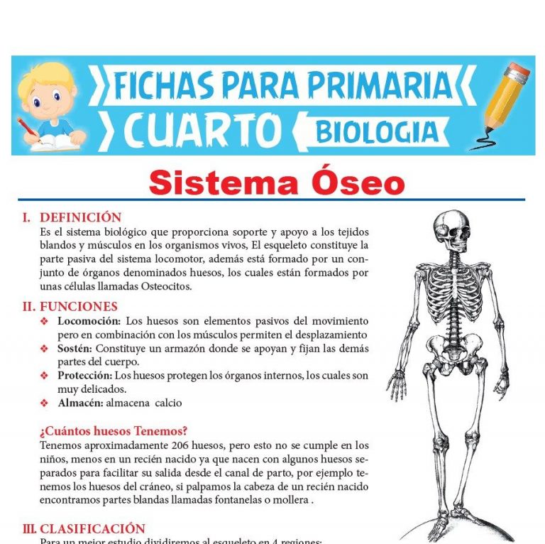 Los seres Vivos para Cuarto de Primaria | Actividades Educativas