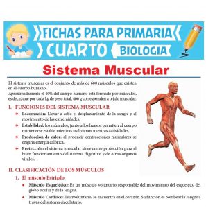 Los seres Vivos para Cuarto de Primaria | Actividades Educativas
