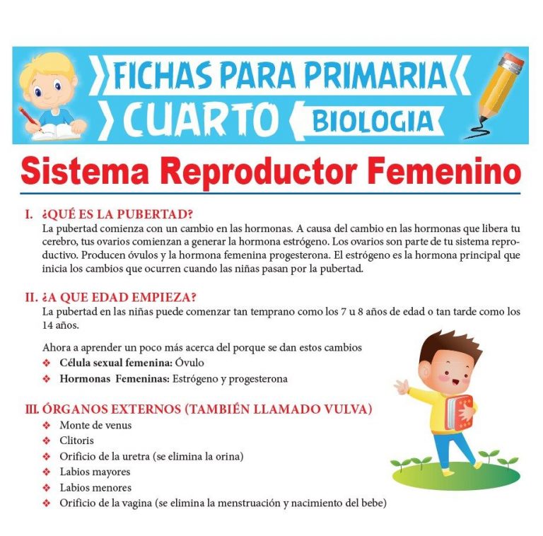 Los seres Vivos para Cuarto de Primaria | Actividades Educativas