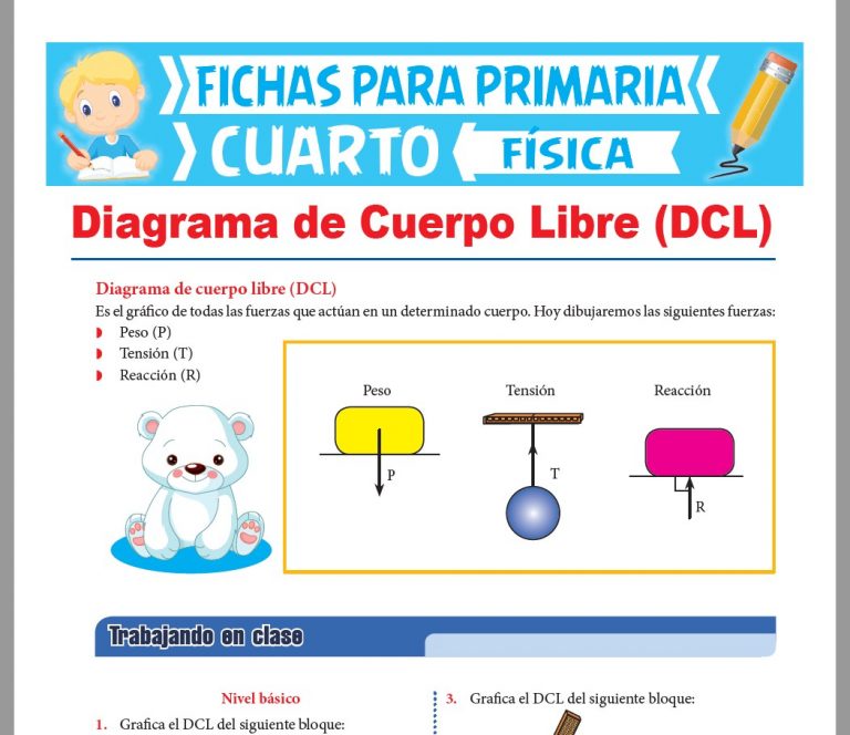 Fichas de FÍSICA para Cuarto Grado de Primaria | Actividades – 2023