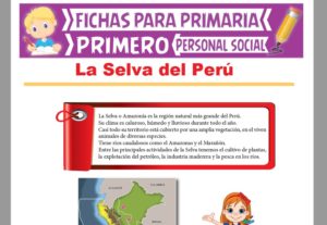 La Selva del Perú para Primer Grado de Primaria | Actividades Educativas