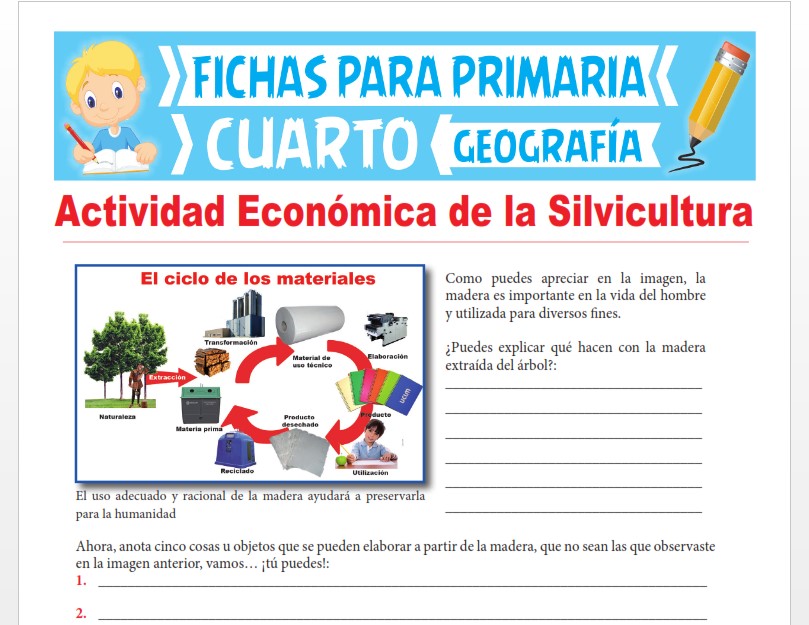 Ficha de Actividad Económica de la Silvicultura para Cuarto Grado de Primaria