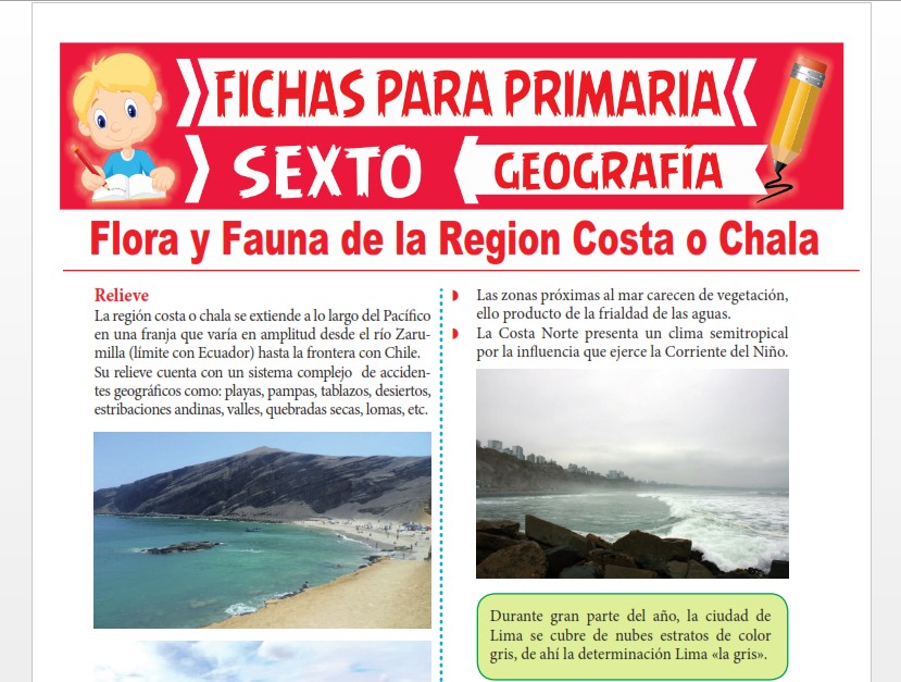 Ficha de Flora y Fauna de la Región Costa o Chala para Sexto Grado de Primaria