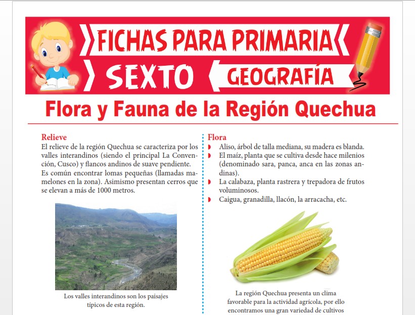 Ficha de Flora y Fauna de la Región Quechua para Sexto Grado de Primaria