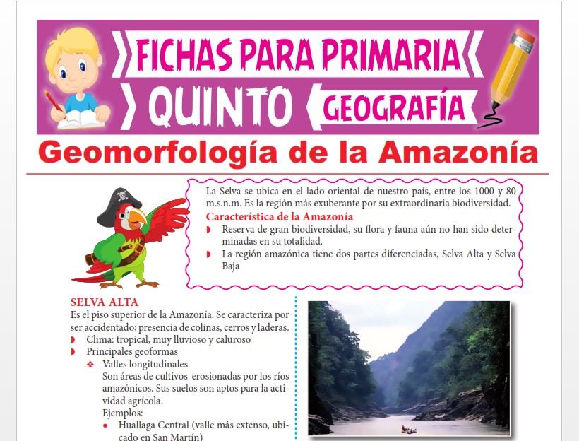 Ficha de Geomorfología de la Amazonía para Quinto Grado de Primaria