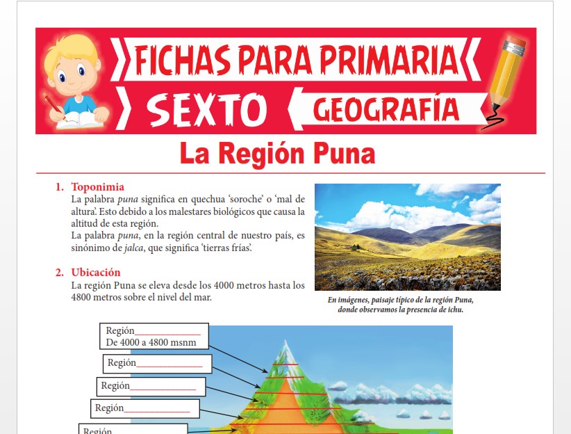 Ficha de La Región Puna para Sexto Grado de Primaria