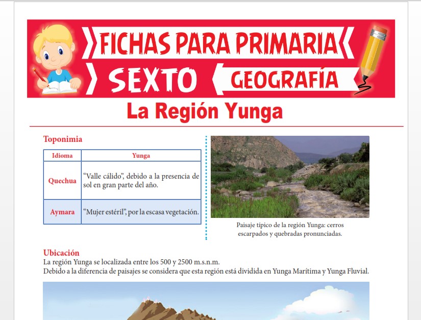 Ficha de La Región Yunga para Sexto Grado de Primaria